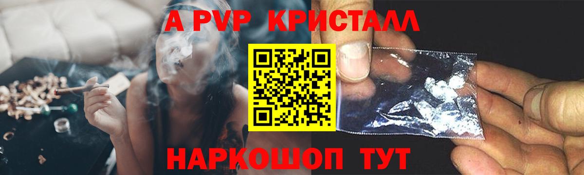 A PVP СК КРИС Рязань