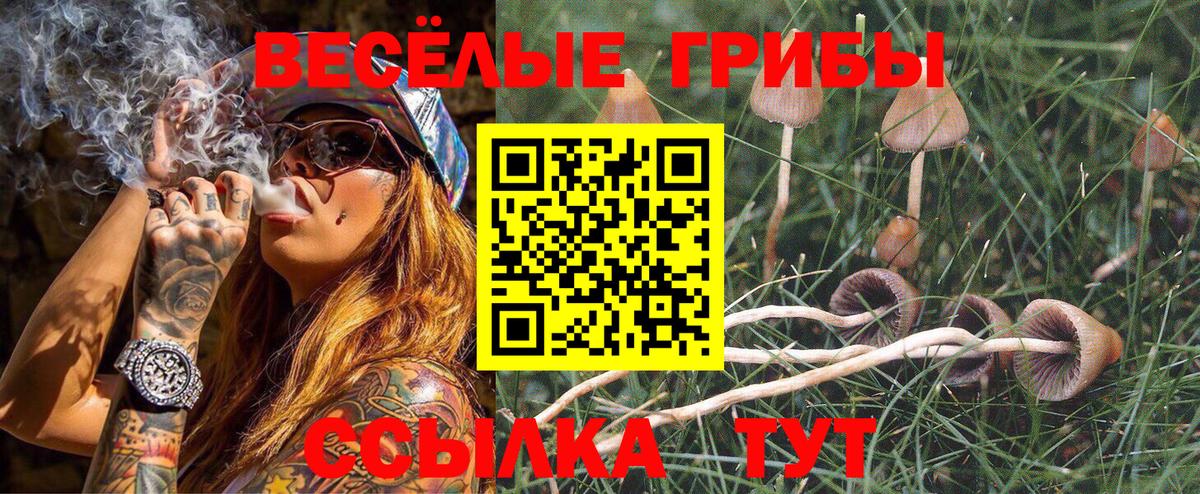 Рязань  Псилоцибиновые грибы прущие грибы  Вход с VPN 